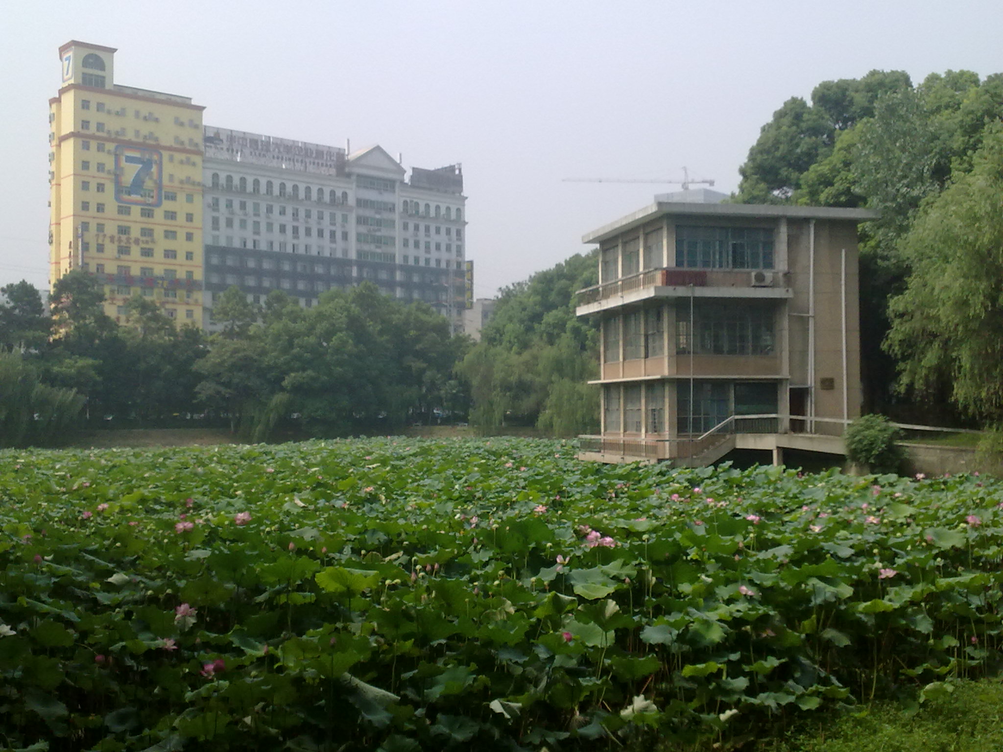 华中科技大学--------手机随拍