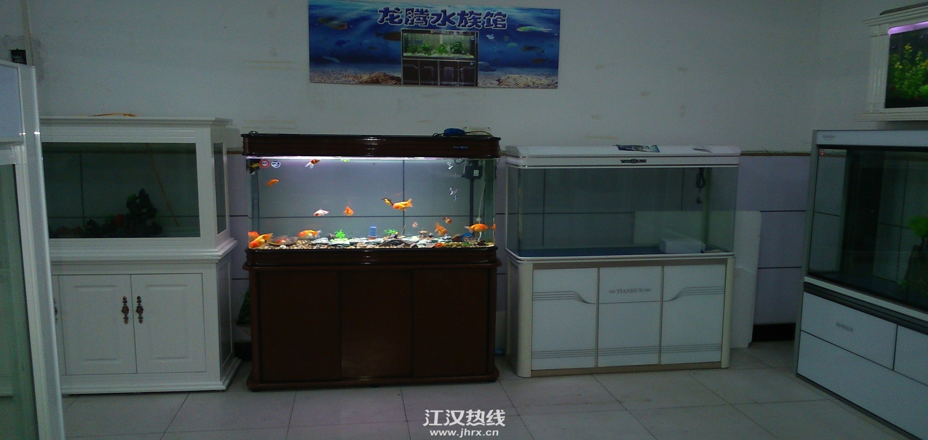 仙桃最大水族店,专业订做鱼缸,中高档鱼缸,及各种热.