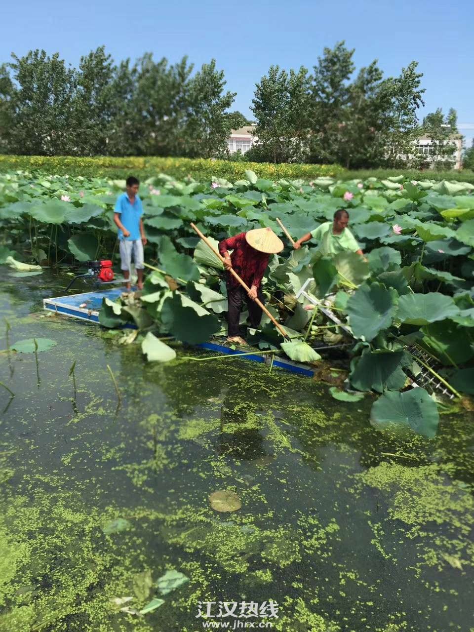 鱼塘割草船割草机虾蟹塘割草船割草机