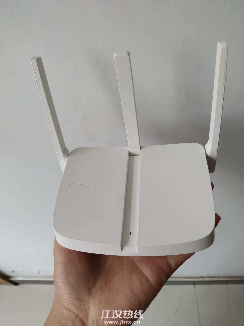 求购路由器80的草缸放什么观赏鱼图片