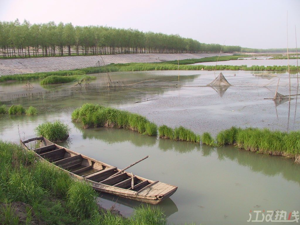 河流,仙桃的河流!