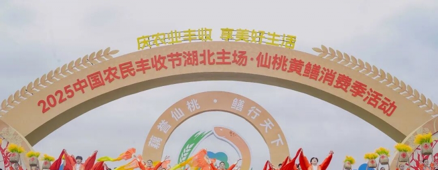 	2025中国农民丰收节湖北主场·仙桃黄鳝消费
