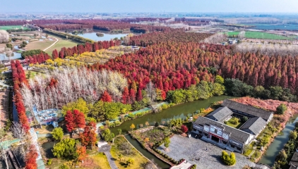 快看！这是现在的仙桃，太美了