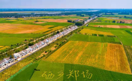 郑场硒品“硒望无限”，正在……