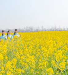 超出片！仙桃春日賞花地圖上線