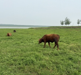 美丽的风景