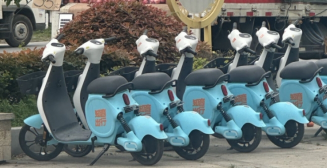 	大中城市的标配共享电单车来到仙桃毛嘴镇了