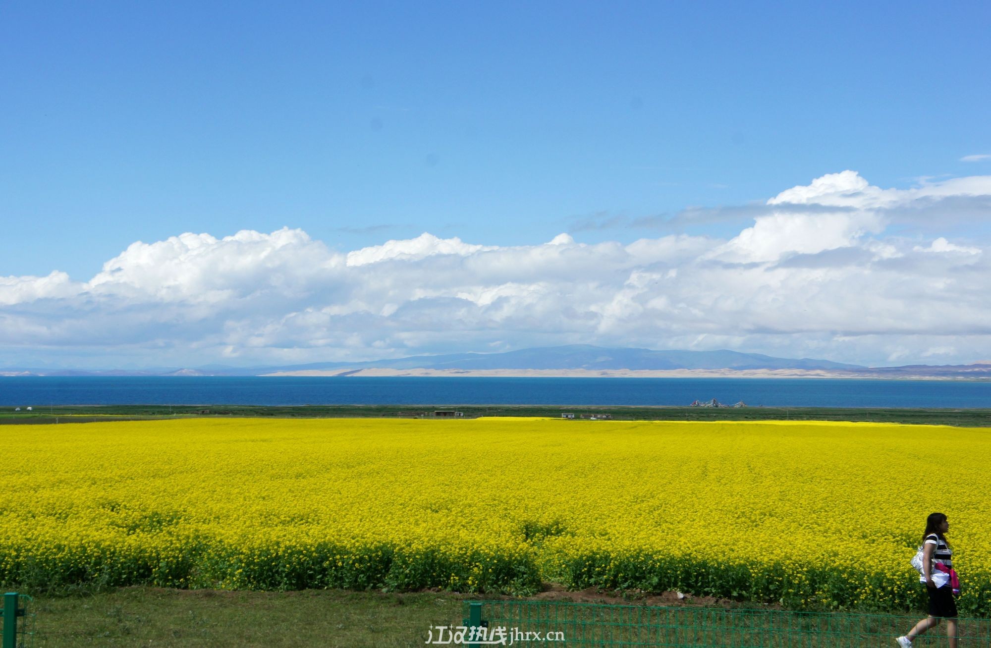 青海湖