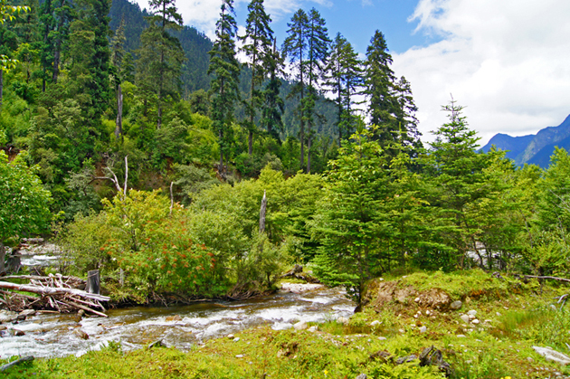 米林南伊沟风景02.jpg