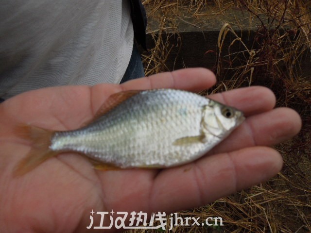 照片20121005 017.jpg