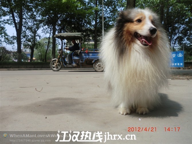 130748w1etgmy0ngbfbbax.jpg