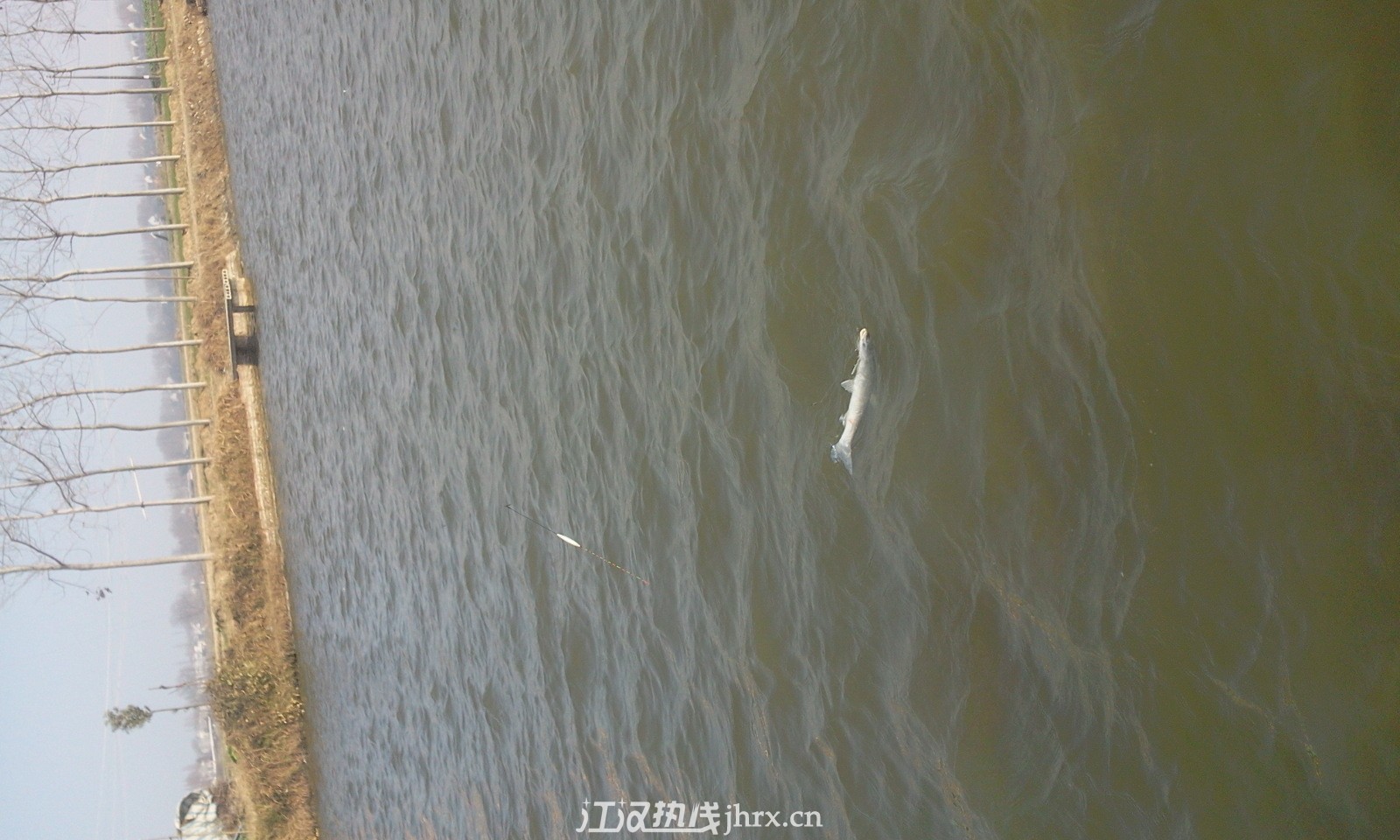照片0638.jpg