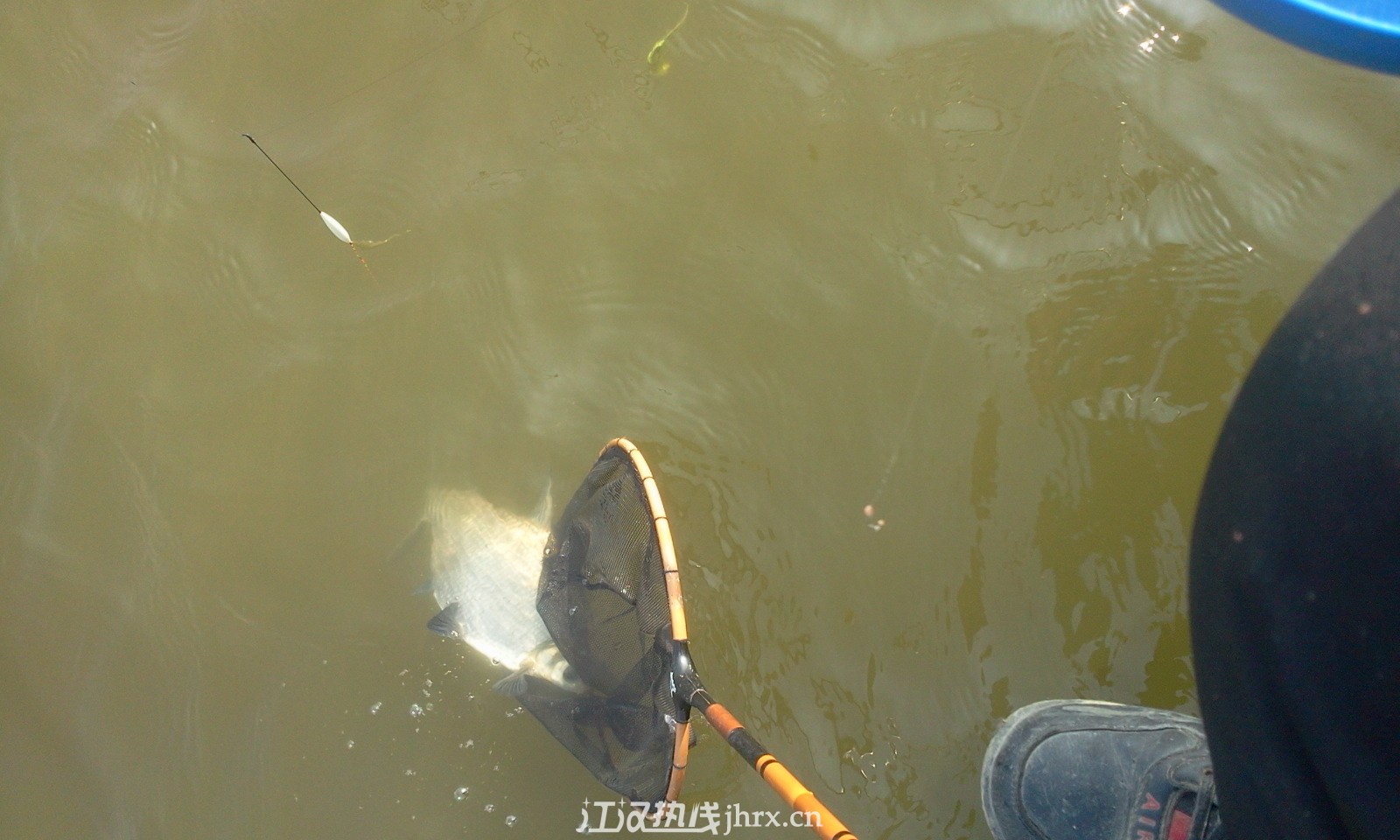 照片0646.jpg