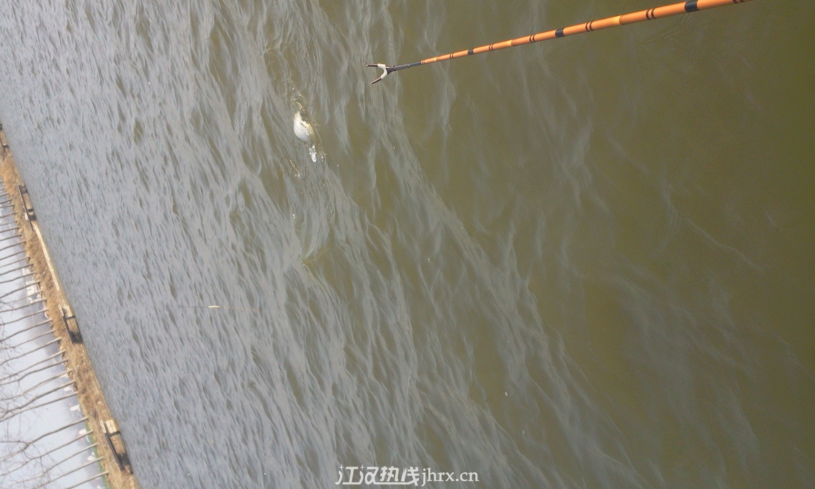照片0651.jpg