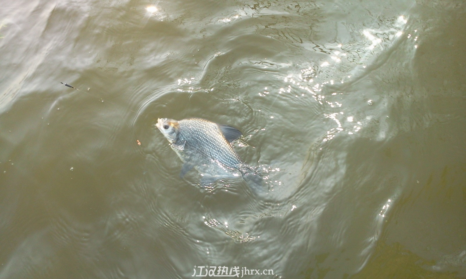 照片0677.jpg