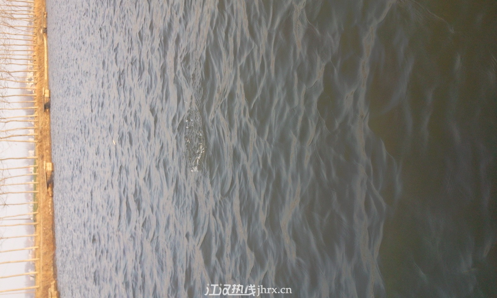照片0686.jpg