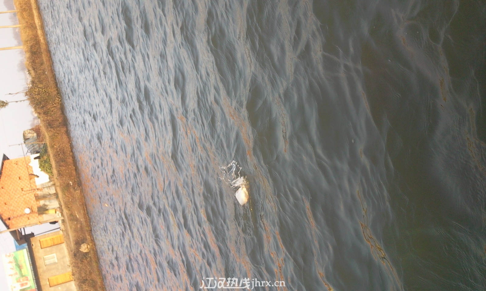 照片0695.jpg