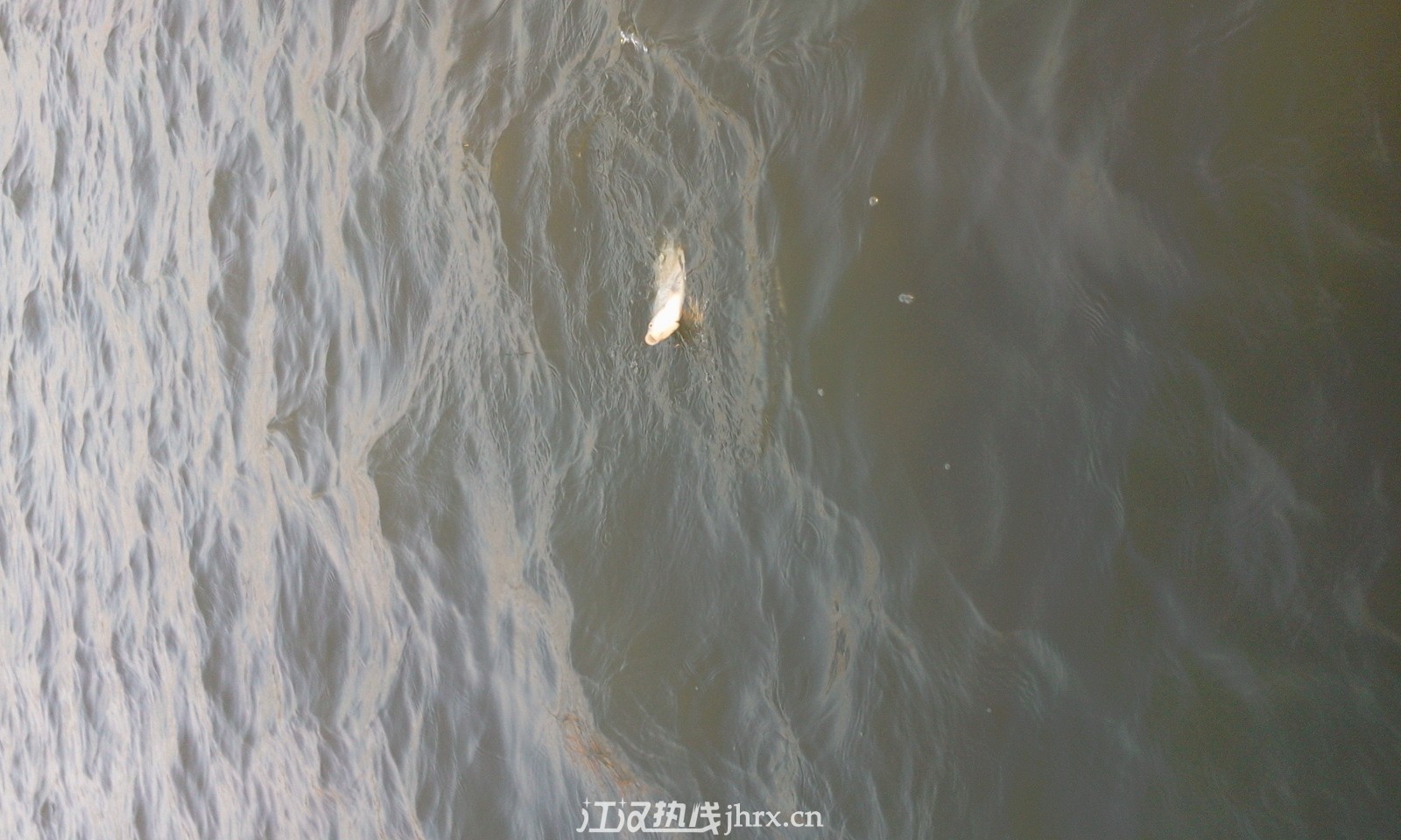 照片0696.jpg