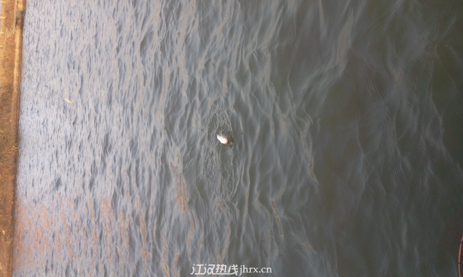 照片0699.jpg