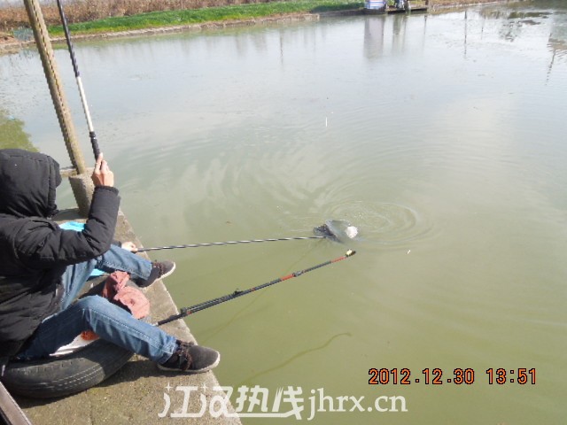DSCN3176.jpg
