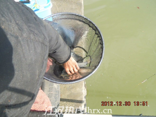 DSCN3177.jpg