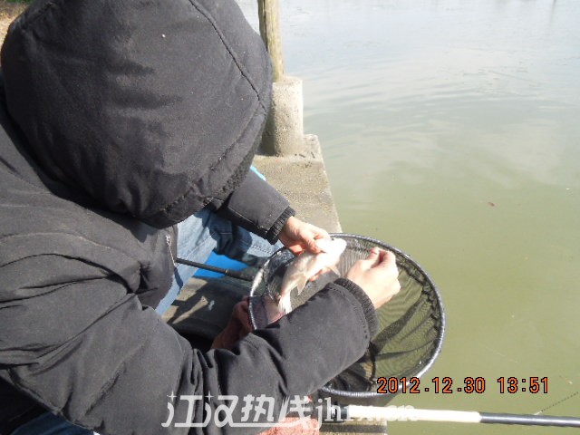 DSCN3178.jpg