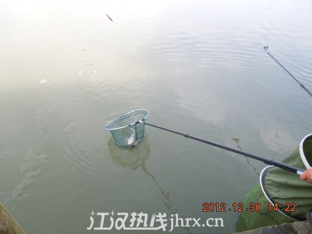 DSCN3186.jpg