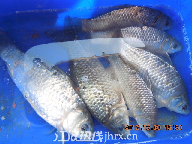 DSCN3192.jpg