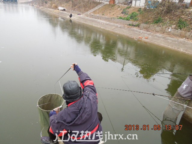 DSCN3229.jpg