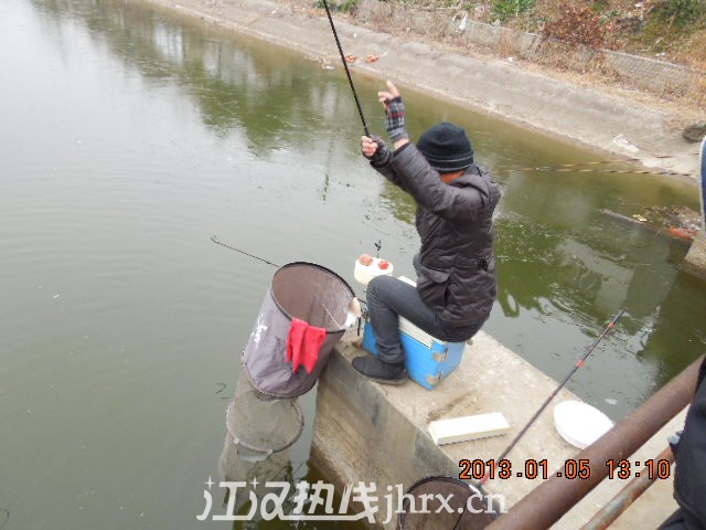 DSCN3233.jpg