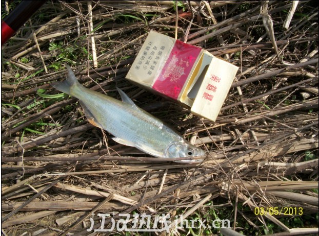ZP[(63S_GD_8(JHS360K91H.jpg