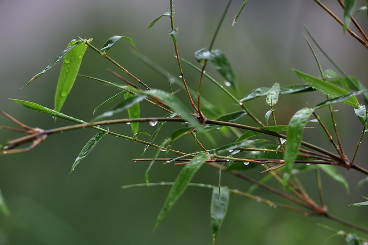 沙滩瑜珈 025.jpg