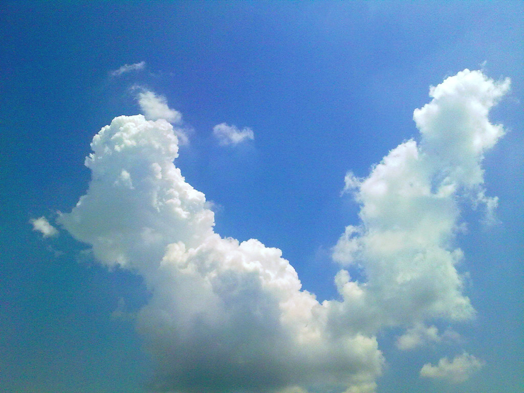 201207261318.jpg