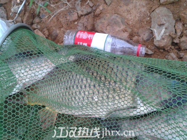QQ图片20130628162026.jpg
