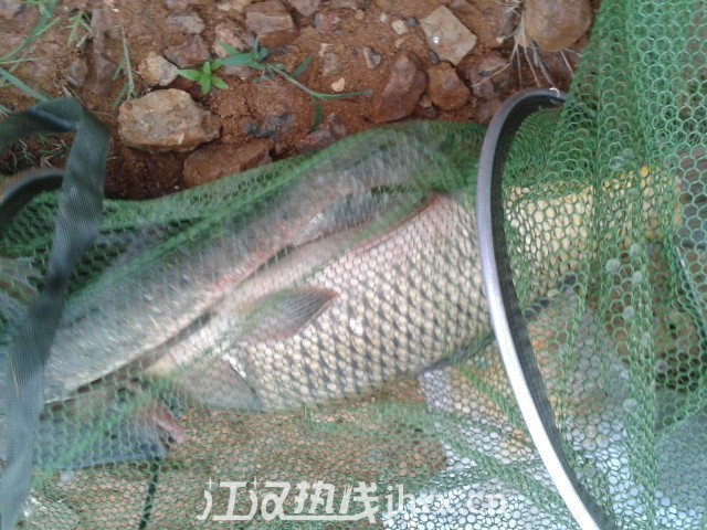 QQ图片20130628162046.jpg