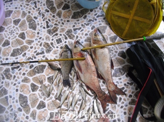 未命名4.jpg
