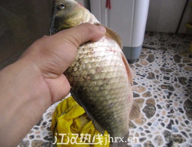 未命名2.jpg