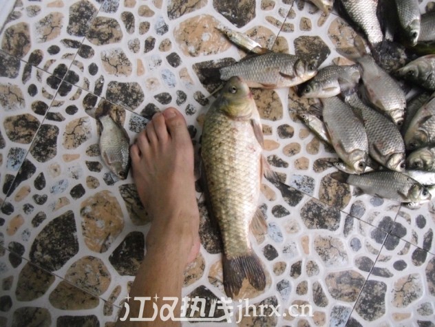 未命名3.jpg
