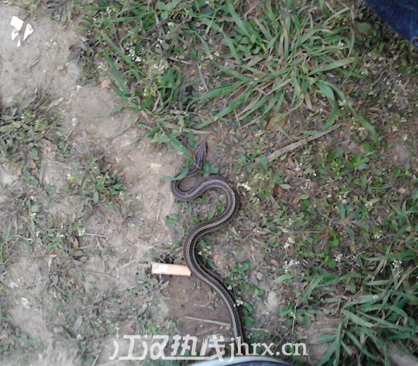 未命名111.jpg