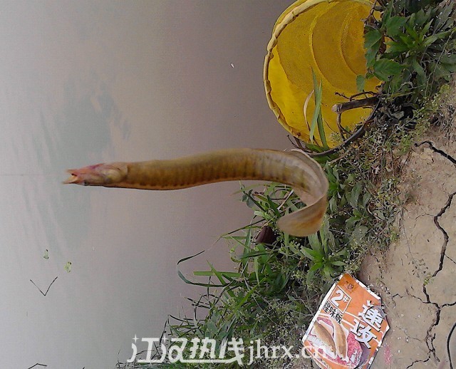未命名333.jpg