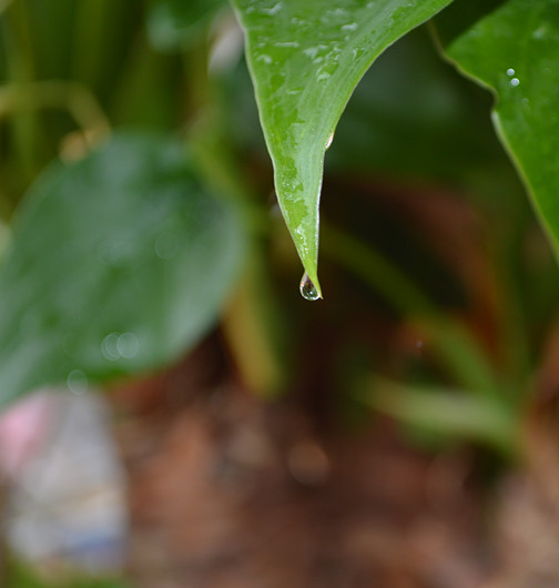 雨滴