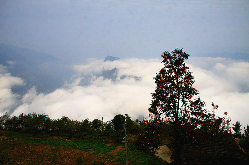 人间仙境-------巴东大面山
