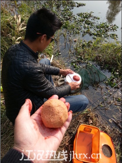 江大师调地饵料