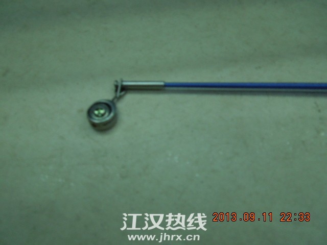 DSCN6531.jpg