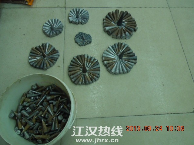 DSCN6534.jpg