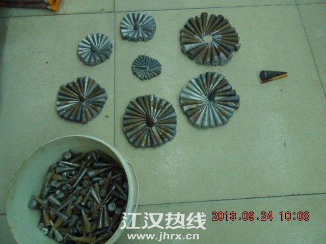 DSCN6543.jpg