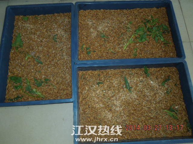 DSCN7407.jpg