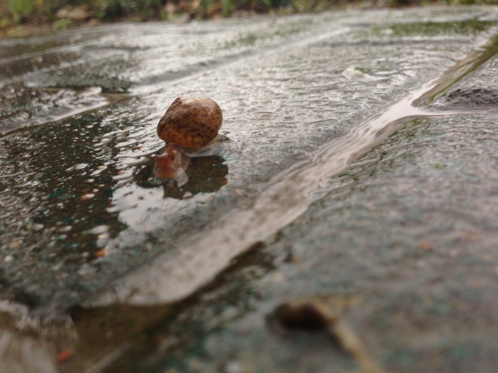 那一夜雨很大