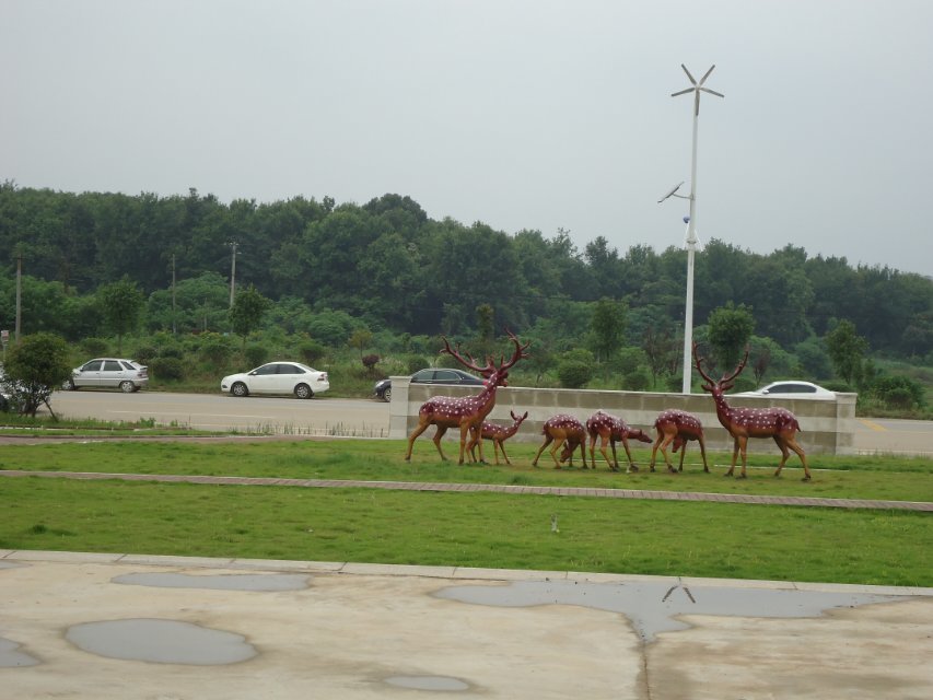 江夏薰衣草广场1.jpg