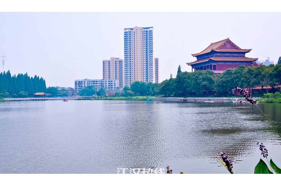 這是我眼中的仙桃,你們覺得呢?_襄河茶館_江漢熱線